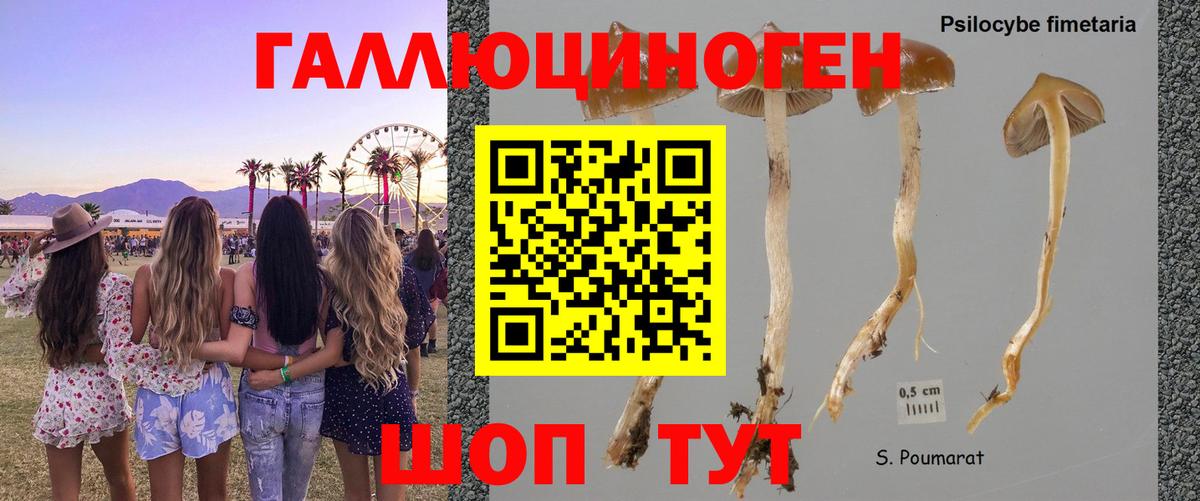 Галлюциногенные грибы мицелий Ейск